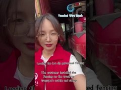 装飾ワイヤーメッシュ三角フェンスパネル 高セキュリティ カスタマイズされた色