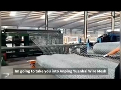 PVC / 溶融亜鉛めっき鉄線 蛇籠網 スロープ保護用