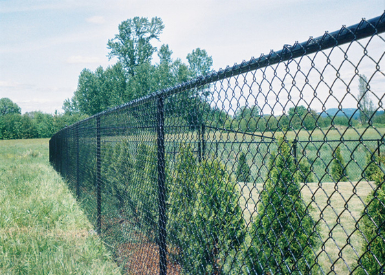 農場のための9ゲージ4.0mmを囲う熱い浸された電流を通された一時的な網