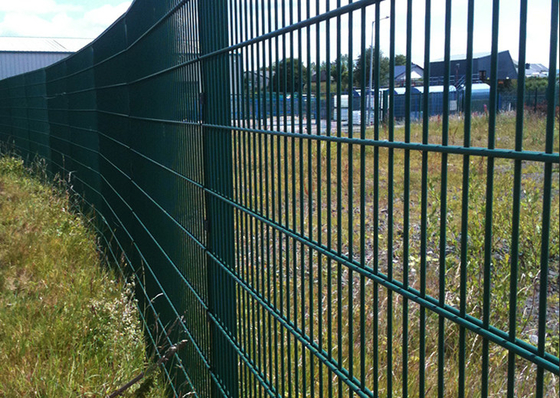 2x2.5m 868装飾的な囲うポリ塩化ビニールの上塗を施してある鉄ワイヤー庭